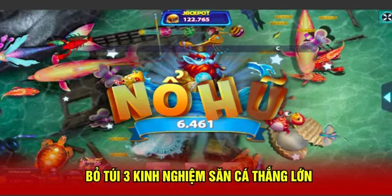 Bỏ túi 3 kinh nghiệm săn cá thắng lớn