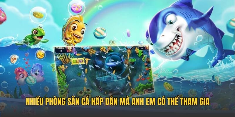 Nhiều phòng săn cá hấp dẫn mà anh em có thể tham gia