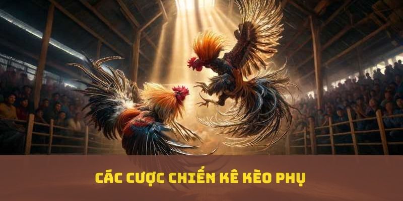 Các cược chiến kê kèo phụ