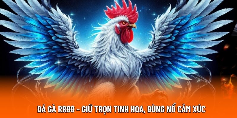 Đá gà RR88 – Giữ trọn tinh hoa, bùng nổ cảm xúc