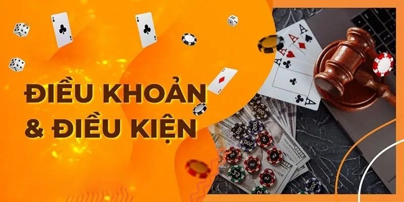 Các điều khoản và quy định người chơi cần nắm bắt rõ