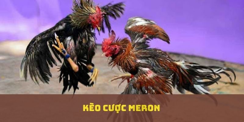 Kèo cược Meron